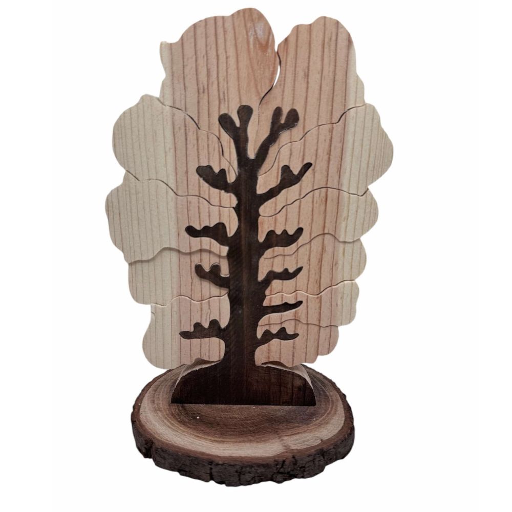 Family Tree 11 Names